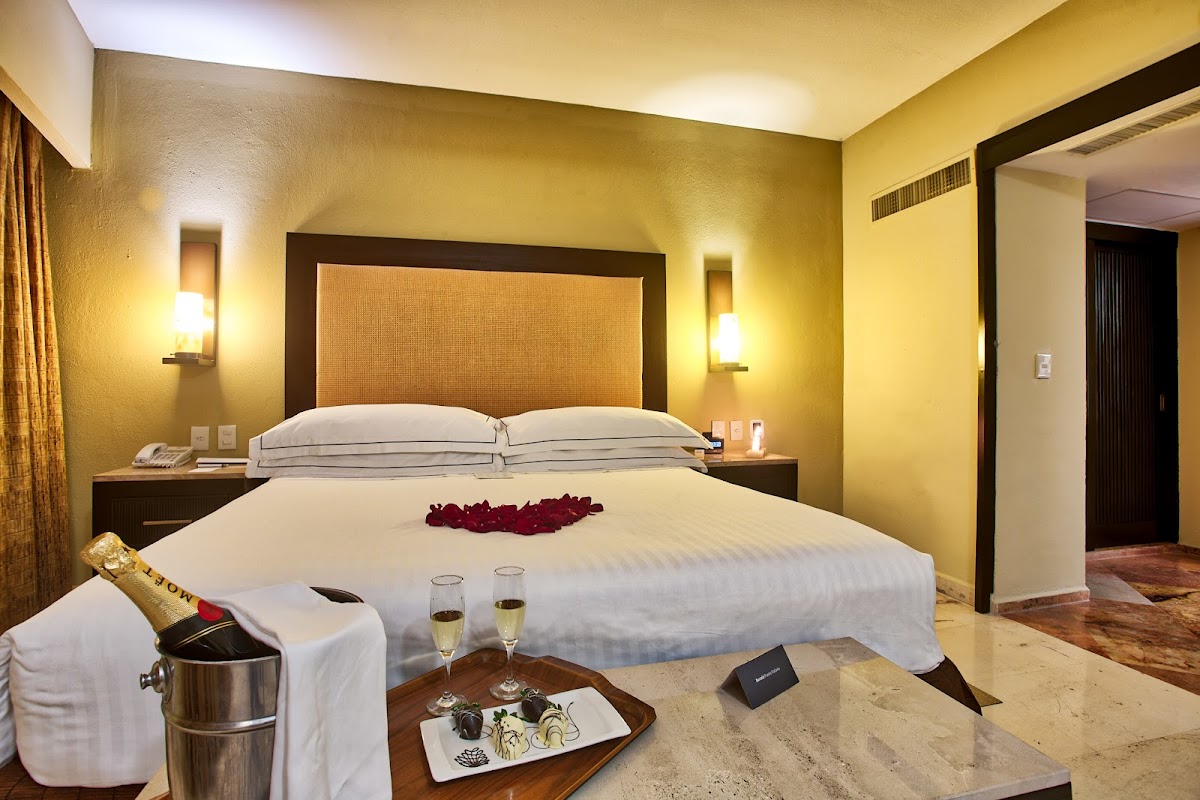 Barcelo Puerto Vallarta - Photo 2