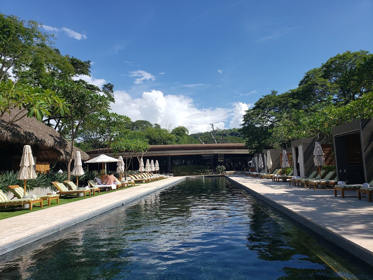 El Mangroove, Autograph Collection - Photo 3