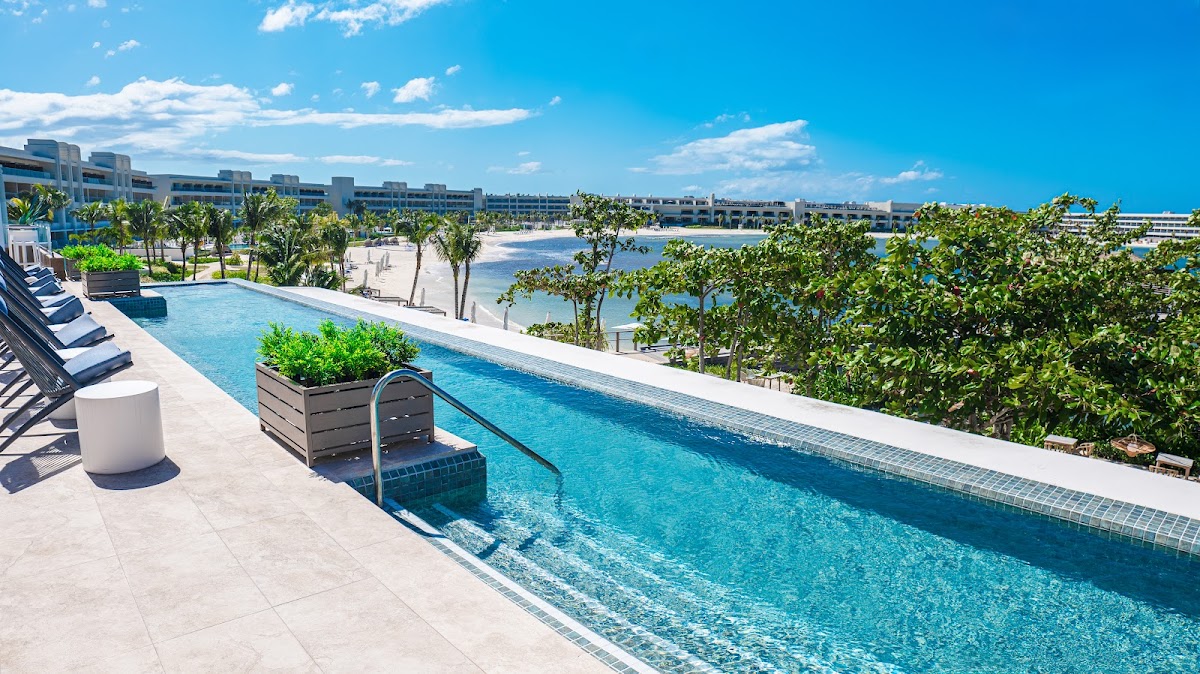 Princess Senses the Mangrove - Photo 3