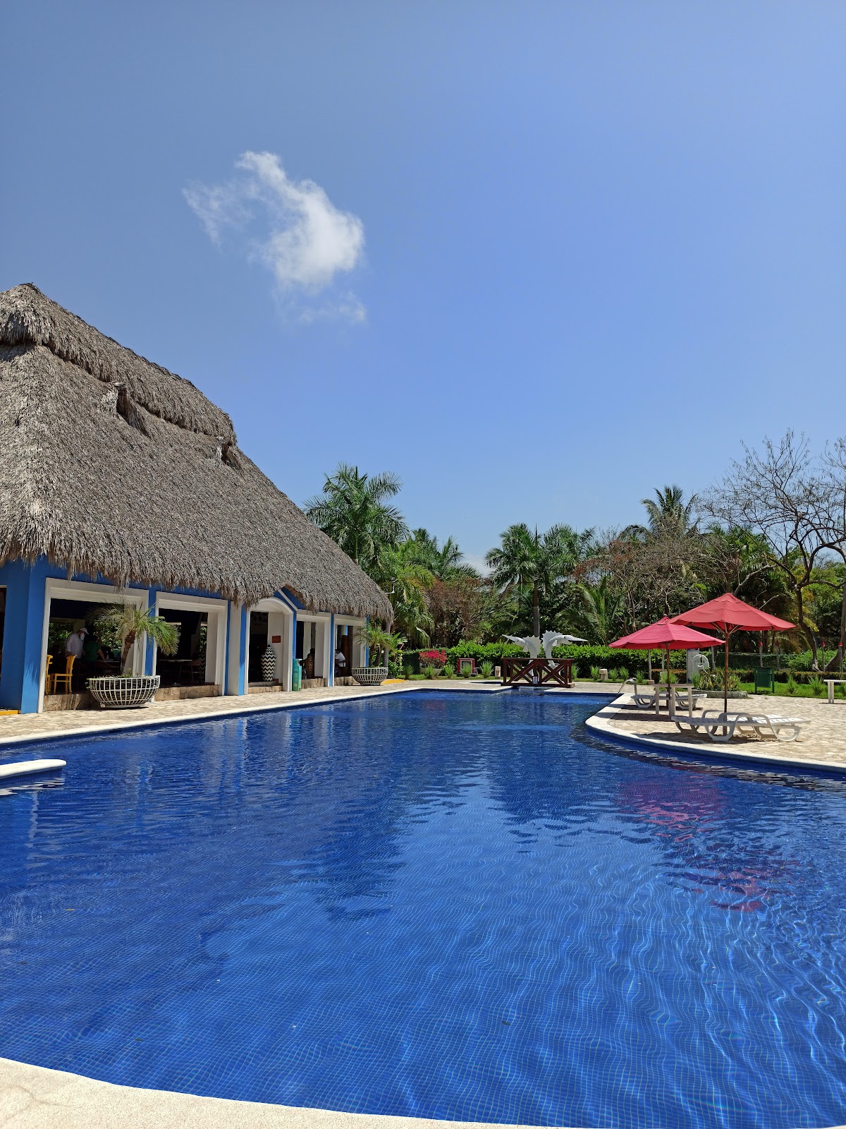 Royal Decameron Salinitas - Photo 3