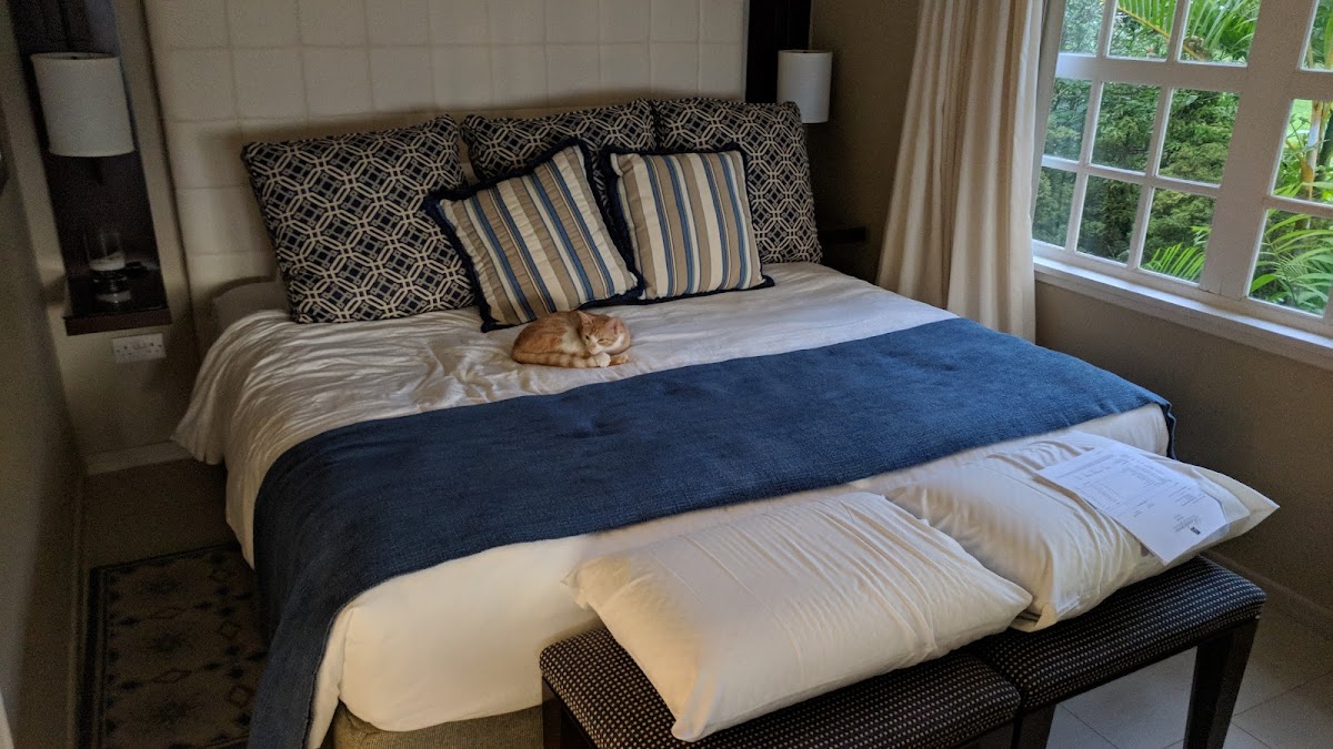 Stolentime St. Lucia - Photo 2