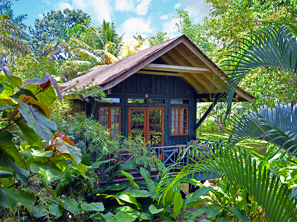 Sunset at the Palms - Photo 1