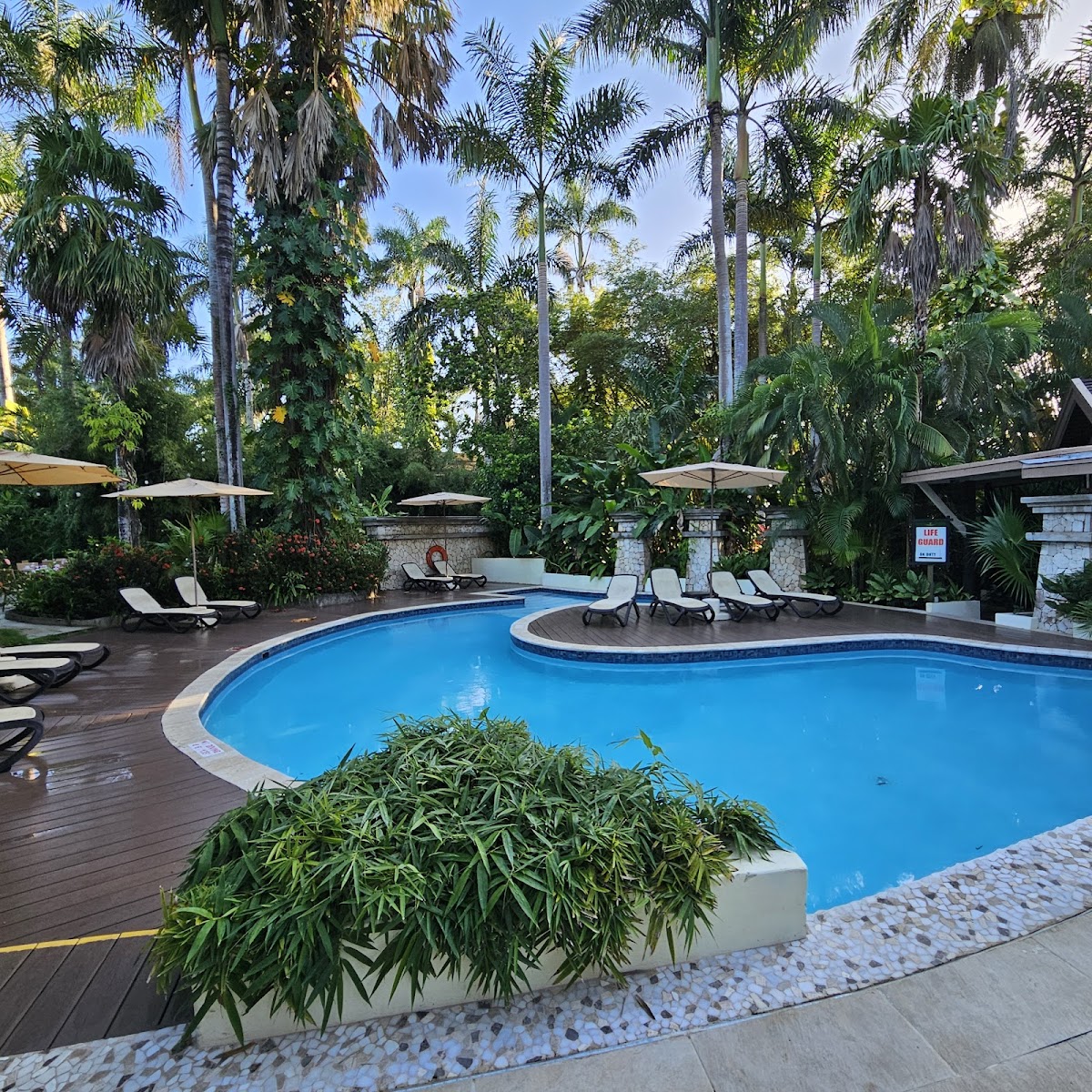 Sunset at the Palms - Photo 3