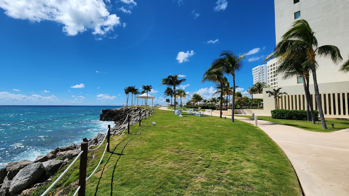 Turquoize at Hyatt Ziva Cancun - Photo 1